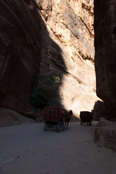 Siq van Petra — Stockfoto