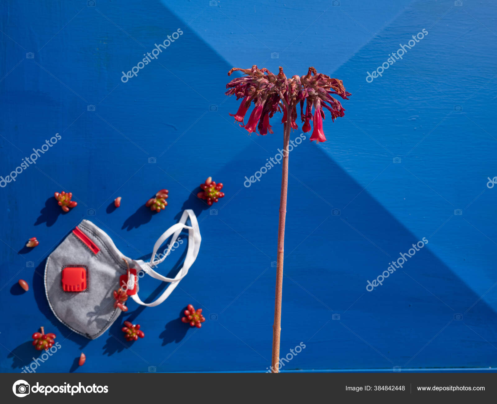 Download N95 With Clipping Path Stock Photos Royalty Free N95 With Clipping Path Images Depositphotos PSD Mockup Templates