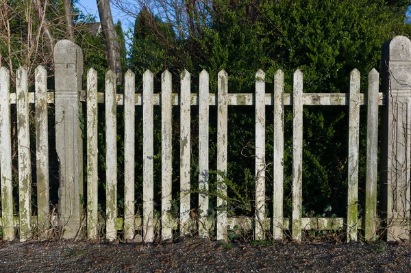 緑の背景に木製の柵 — ストック写真