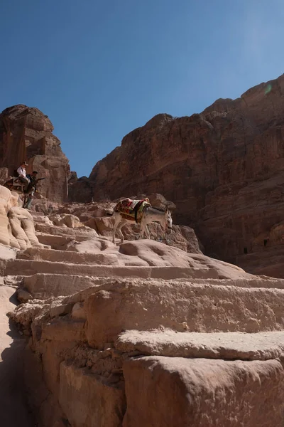Ruinas Petra Patrimonio Mundial Unesco Jordania —  Fotos de Stock