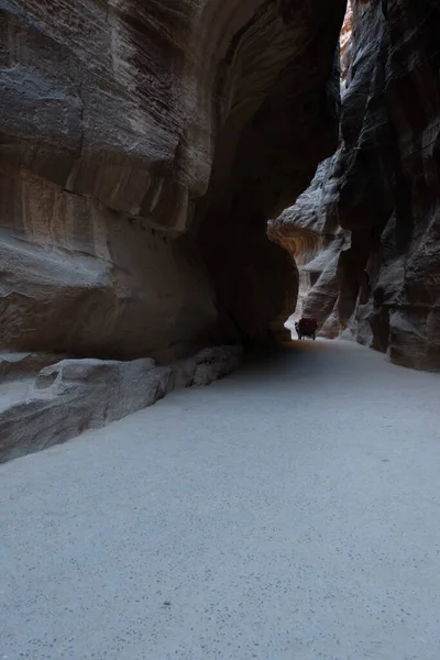 Canyon Bij Ingang Petra Jordanië Oude Stad — Stockfoto