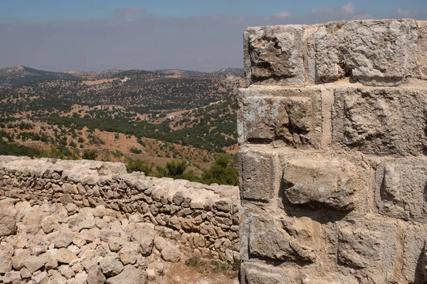 Ajloun Замок Північно Західній Йорданії Арабські Хрестоносці Форт — стокове фото