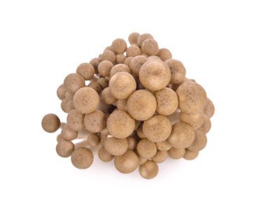 beyaz arkaplanda taze shimeji (kahverengi kayın) mantarı