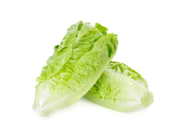 taze yeşil çünkü izole beyaz arka plan üzerinde