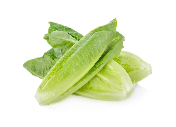 taze yeşil çünkü izole beyaz arka plan üzerinde