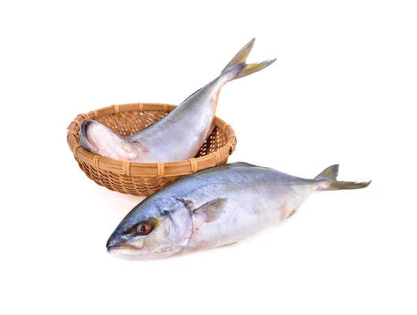 Hela Rundan Yellowtail Fisk Eller Hamachi Fisk Korgen Och Vit — Stockfoto