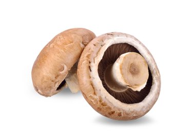 Bütün taze champignon mantar beyaz arka plan üzerinde