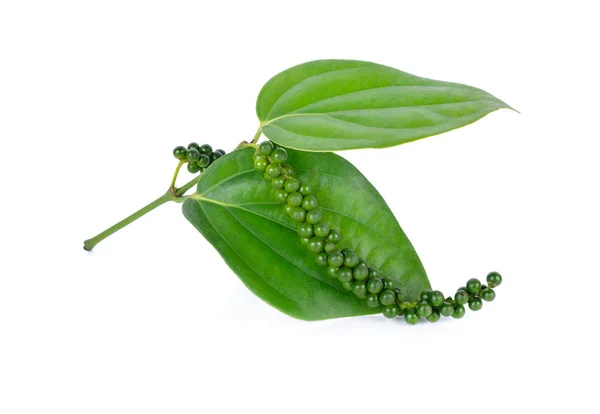 绿色的胡椒与茎和叶子在白色背景 — 图库照片