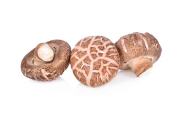 Beyaz arka planda taze shiitake mantarı