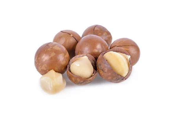 Dried Macadamia Nut White Background — Stock Photo, Image