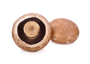 Bütün taze champignon mantar beyaz arka plan üzerinde