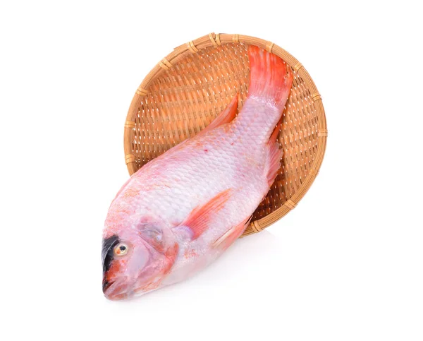 Whole Fresh Red Tilapia Tub Tim Fish White Background — Stock Photo, Image