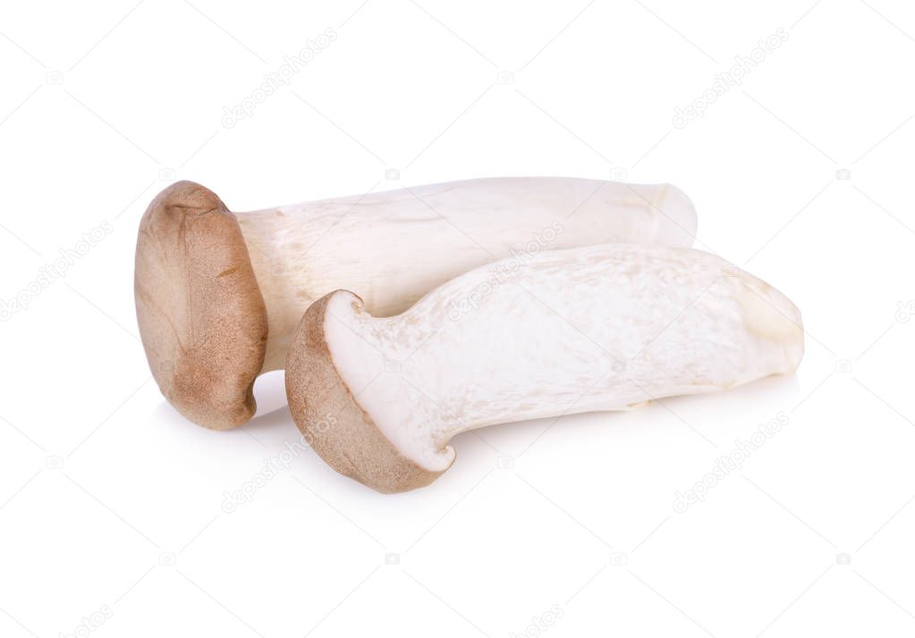uncooked Eryngii mushroom or King oyster mushroom on white background