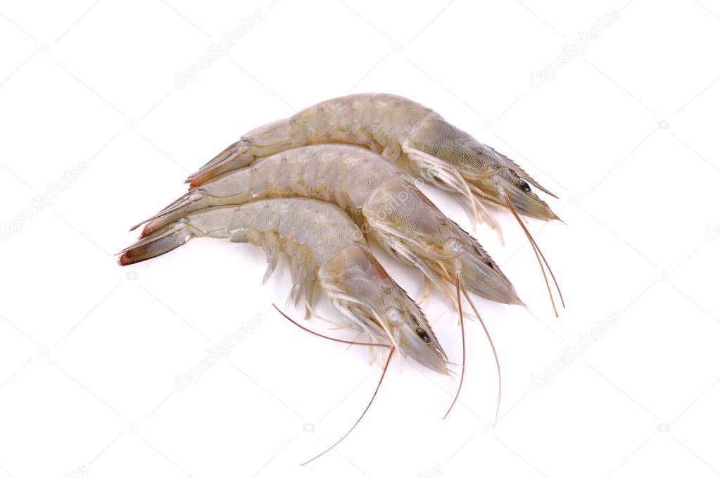 whole fresh vannamei shrimps on white background