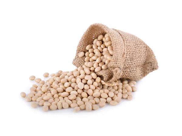 Donanma fasulye çuvalı ve beyaz arka plan üzerinde kuru