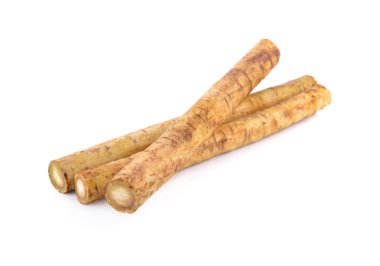 taze dulavratotu kökü veya Gobo beyaz arka plan üzerinde
