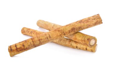 taze dulavratotu kökü veya Gobo beyaz arka plan üzerinde