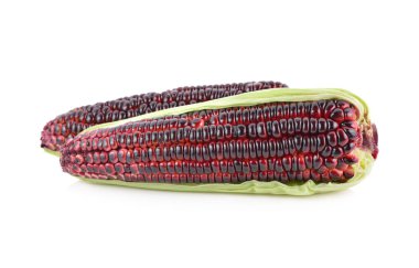 Beyaz arka plan üzerinde kabuğu ile taze mor Mısır