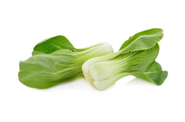 Fresco Bambino Bok Choy Cavolo Cinese Sfondo Bianco — Foto Stock