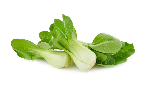 Fresco Bambino Bok Choy Cavolo Cinese Sfondo Bianco — Foto Stock