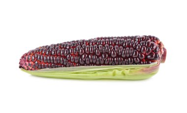 Beyaz arka plan üzerinde kabuğu ile taze mor Mısır