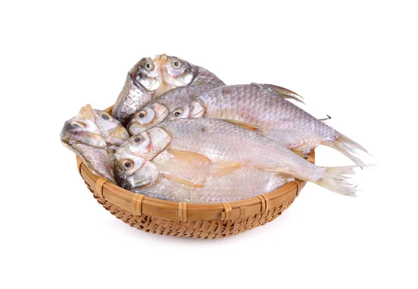 kurutulmuş (tek güneş) bambu sepetinde marine kelebek gümüş barb