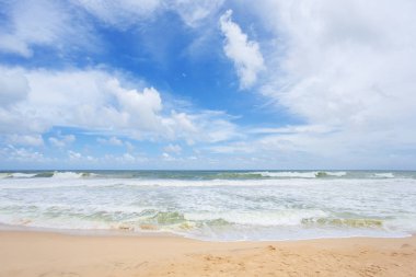 Tropikal plaj Sri-Lanka
