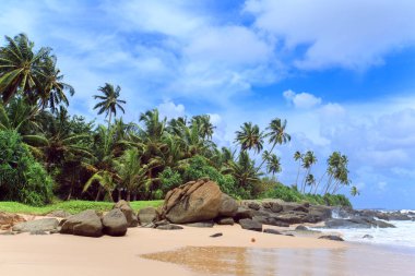 Tropikal plaj Sri-Lanka
