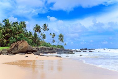 Tropikal plaj Sri-Lanka