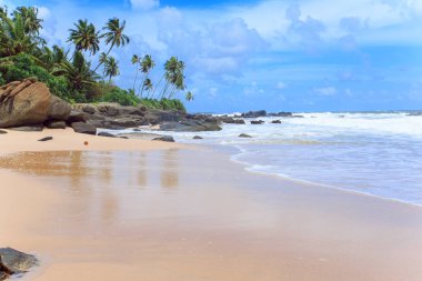 Tropikal plaj Sri-Lanka
