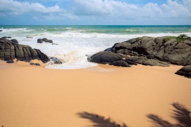 Tropikal plaj Sri-Lanka