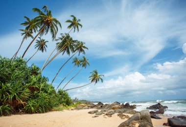 Tropikal plaj Sri-Lanka