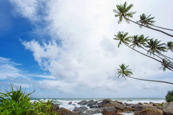 Tropical beach Sri-Lanka — Zdjęcie stockowe