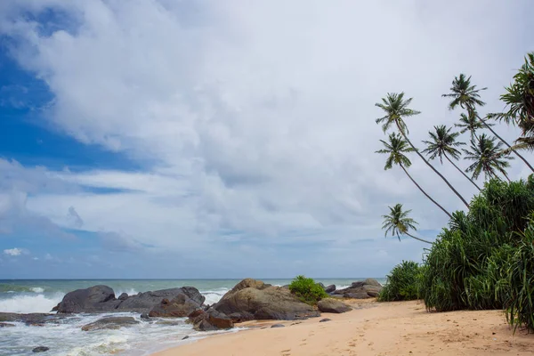 Tropikal plaj Sri-Lanka — Stok fotoğraf