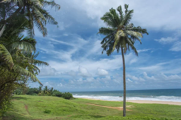 Tropikal plaj Sri-Lanka — Stok fotoğraf