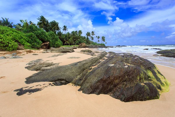 Tropical beach Sri-Lanka — Zdjęcie stockowe