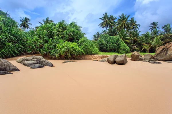 Tropical beach Sri-Lanka — Zdjęcie stockowe