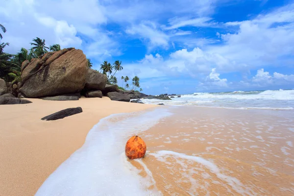 Tropikal plaj Sri-Lanka