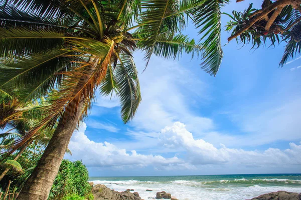 Τροπική παραλία της Σρι-Λάνκα — Φωτογραφία Αρχείου