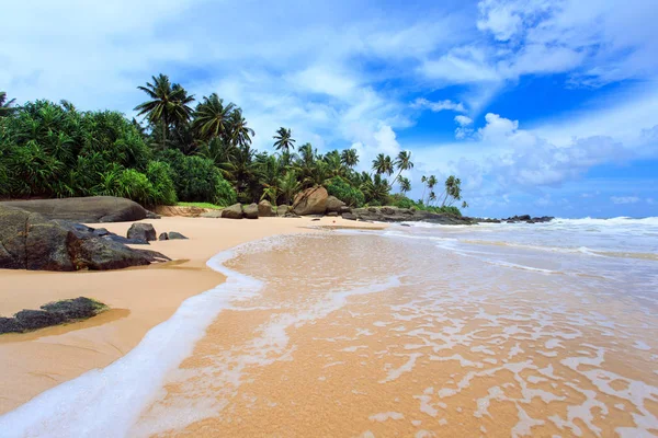 スリランカ-スリランカの熱帯ビーチ ストックフォト