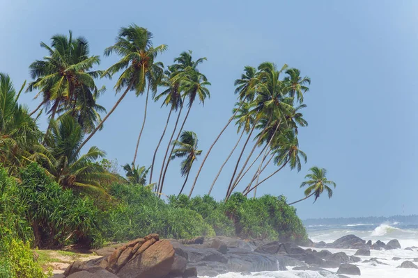 Unberührter tropischer Strand — Stockfoto