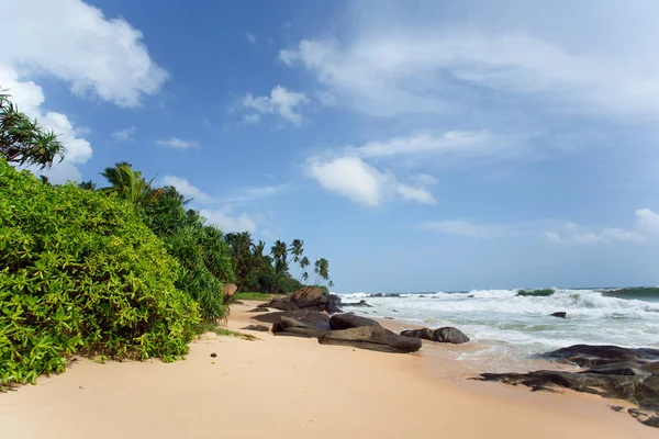 Незаймана тропічний пляж — стокове фото