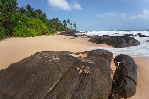 Dziewiczej Tropikalnej Plaży Sri Lanka — Zdjęcie stockowe