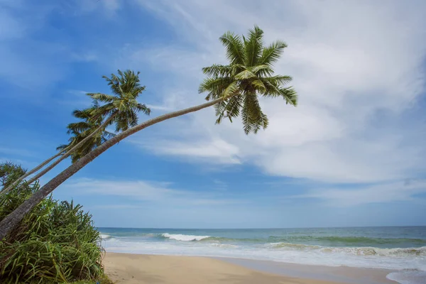 Praia tropical intocada — Fotografia de Stock