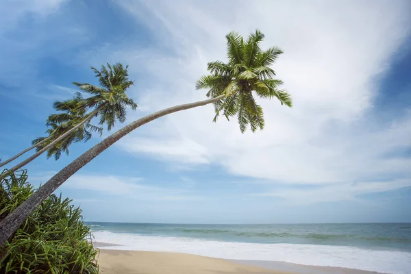 Praia tropical intocada — Fotografia de Stock