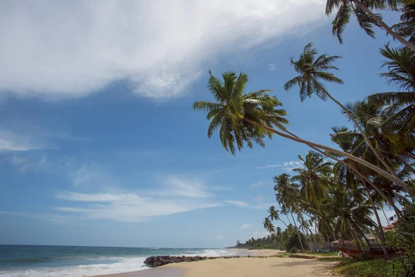 Ongerepte tropisch strand — Stockfoto