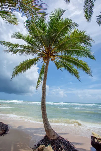 Nedotčené tropické pláži — Stock fotografie