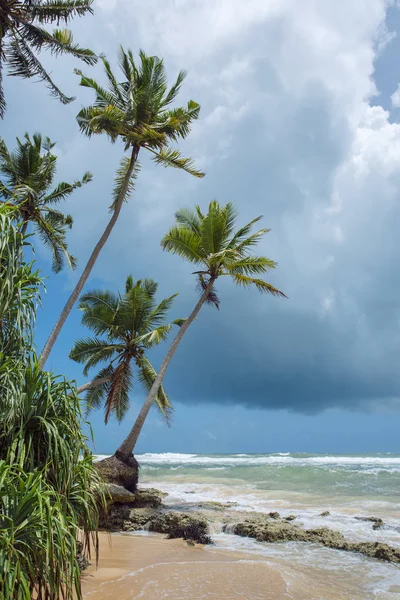 Praia tropical intocada — Fotografia de Stock