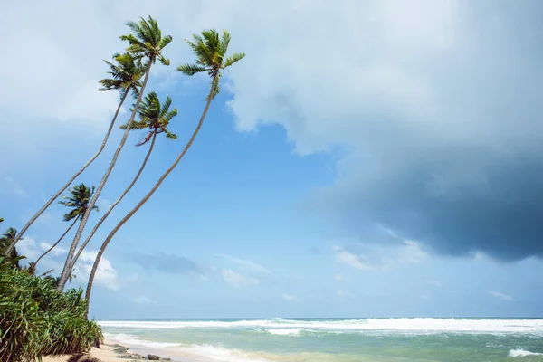 Nedotčené tropické pláži — Stock fotografie