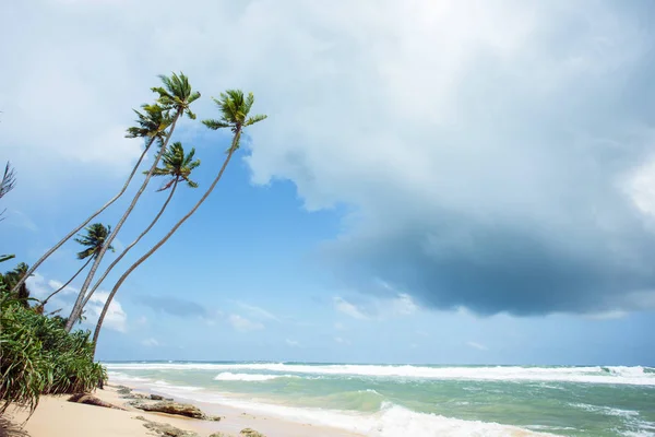 Dziewiczej tropikalnej plaży — Zdjęcie stockowe